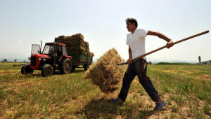 Κορονοϊός: Δάνεια μέχρι 25.000 ευρώ για αγρότες χωρίς ασφαλιστική ενημερότητα