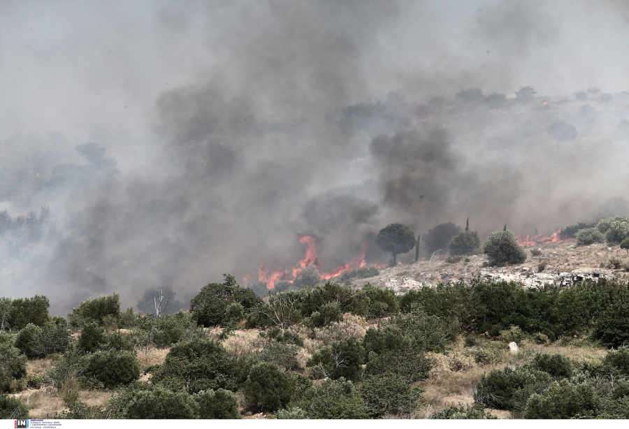 Φωτιές εκδηλώθηκαν τα ξημερώματα σε Εύβοια και Δυτική Αχαΐα