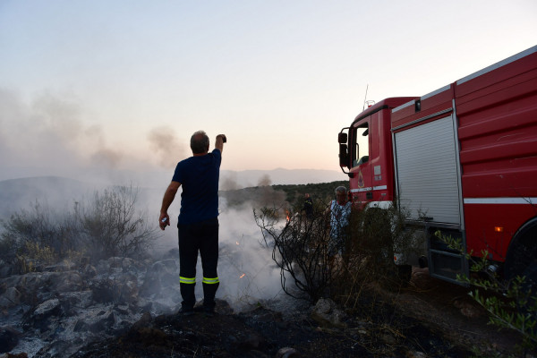 Φωτιά στην Κέρκυρα: Καίγεται δασική έκταση