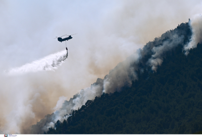 Καίγεται το δάσος της Δαδιάς στον Έβρο, σε πλήρη εξέλιξη η φωτιά στην Αλεξανδρούπολη σε τρία μέτωπα