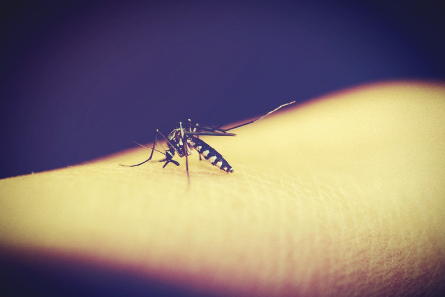 Γιατί κάποιοι άνθρωποι προσελκύουν τα κουνούπια σαν μαγνήτες