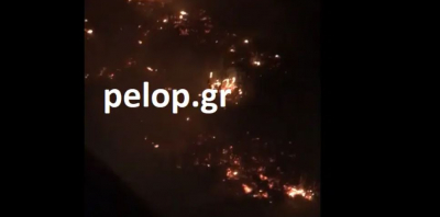 Συναγερμός στην Πάτρα: Μεγάλη φωτιά σε πυκνοκατοικημένη περιοχή