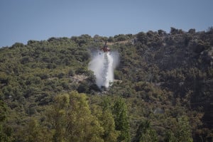 Φωτιά τώρα στην Εύβοια και την Αργολίδα - Άμεση κινητοποίηση της Πυροσβεστικής