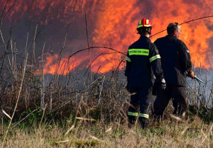 Χαλκιδική: Φωτιά στην περιοχή Καλαμίτσι - Καίγεται δασική βλάστηση