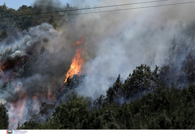 Φωτιά τώρα σε Βαρνάβα, Ελευσίνα και Ασπρόπυργο – Νέες εστίες σε Βόλο και Στύρα Εύβοιας