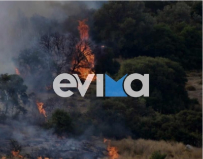 Φωτιά τώρα στη Ριτσώνα, μεγάλη κινητοποίηση της Πυροσβεστικής
