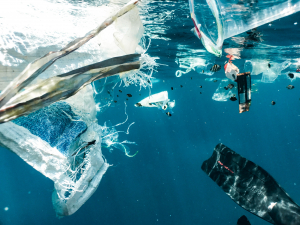 Και όμως...από τα πλαστικά σκουπίδια των ωκεανών παράγονται αποτελεσματικά αντιβιοτικά