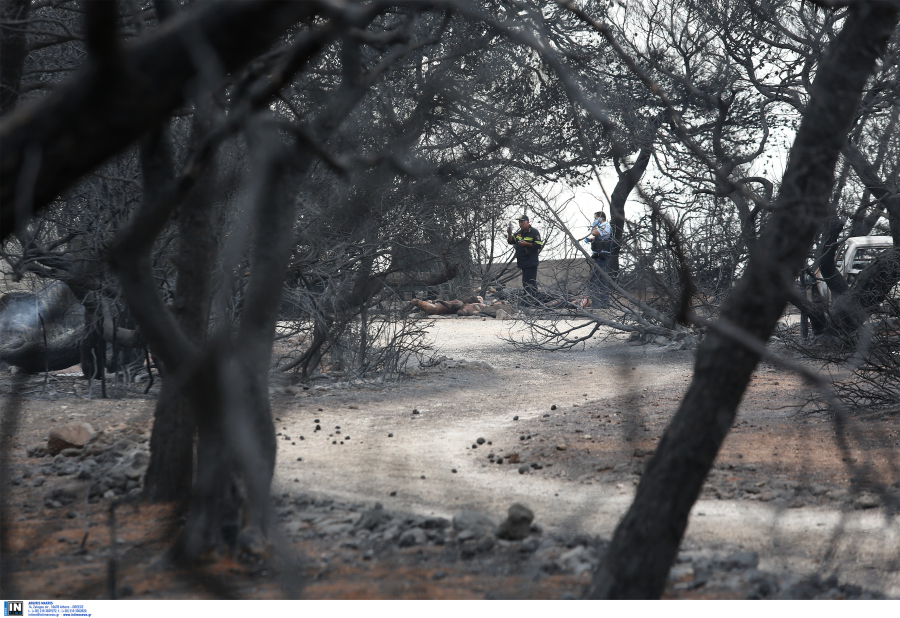 Φονική πυρκαγιά στο Μάτι: «Γνωρίζαμε για νεκρούς από τις 19.54!», δήλωσε ο Σωτήρης Τερζούδης