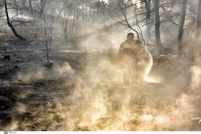 Φωτιά σε αγροτοδασική φωτιά στη Ζήρια Αιγίου - Μεγάλη κινητοποίηση της Πυροσβεστικής