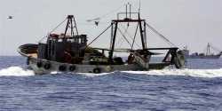 Μείωση στην ποσόστωση της αλιείας 