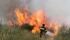 Πάτρα: Πυρκαγιά σε εξέλιξη στο Καρούσι Καλαβρύτων