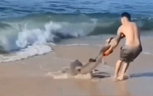 Άνδρας προσπαθεί να βγάλει καρχαρία που ψάρεψε από την θάλασσα και «παλεύει» μαζί του (βίντεο)