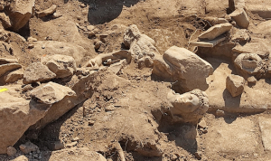 Νέα εντυπωσιακά αρχαιολογικά ευρήματα στους Φιλίππους -Άγαλμα με τον Ηρακλή (εικόνες)