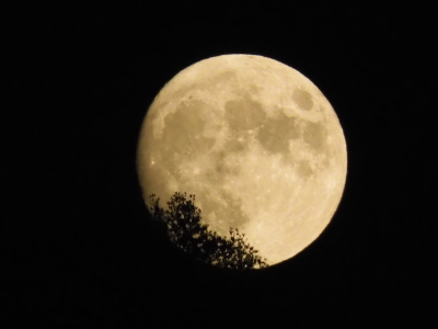 Βράδυ Σαββάτου με το «Φεγγάρι του Ελαφιού»