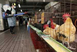 Δήμος Δέλτα: Ενημέρωση πτηνοτρόφων και κατόχων οικόσιτων πουλερικών γα τη γρίπη των πτηνών