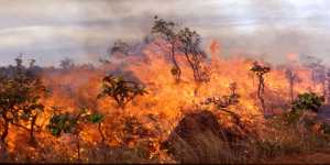 Ανεξέλεγτη πυρκαγιά σε δασική περιοχή της Ρόδου