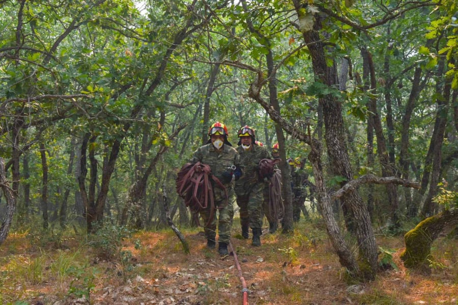Για πέμπτη ημέρα καίγεται το δάσος της Δαδιάς: «Η δασική υπηρεσία είναι υποστελεχωμένη» αναφέρει ειδικός
