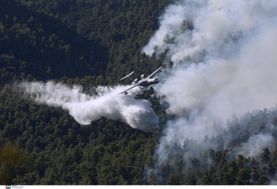 Γεωργαντάς: Ανοίγει η πλατφόρμα για τις ενισχύσεις των πυρόπληκτων από τις πυρκαγιές