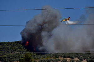Φωτιά στο Ντράφι: Αποχώρησαν τα Air Tractors, δεν μπορούν να επιχειρήσουν λόγω των ανέμων