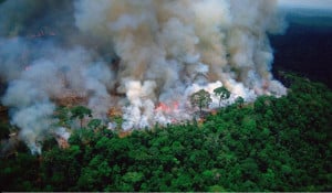 PrayforAmazonas: Καίγεται ο μεγαλύτερος πνεύμονας οξυγόνου του κόσμου - Ο ήλιος σκοτεινιάζει από πυκνό γκρίζο καπνό