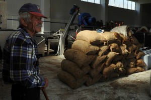 Γλιτώνουν εισφορές και περικοπές στη σύνταξη οι «παλαιοί» συνταξιούχοι με αγροτικό εισόδημα