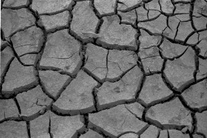 Η ξηρασία κόστισε 1 δισ. ευρώ στους Ιταλούς αγρότες