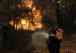 Φωτιά στην Ηλεία - Κινδυνεύει το δρυόδασος της Φολόης