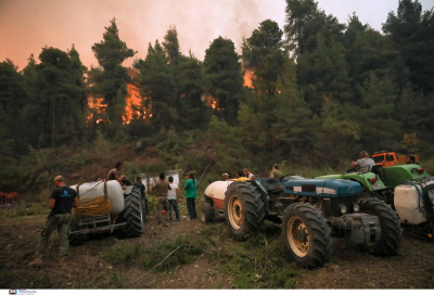 Επιταχύνεται η αποζημίωση των πληγέντων αγροτών από τις πυρκαγιές