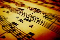 Στην ΤΕ εκπαιδευτική βαθμίδα κατατάσσονται οι μουσικοί των ΟΤΑ