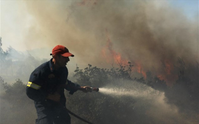 Φωτιά τώρα στο Ναύπλιο σε δασική περιοχή, σηκώθηκαν αεροπλάνα
