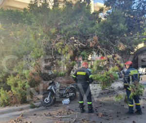 Τραγωδία στο Ηράκλειο: Νεκρός ο οδηγός μηχανής που καταπλακώθηκε από δέντρο