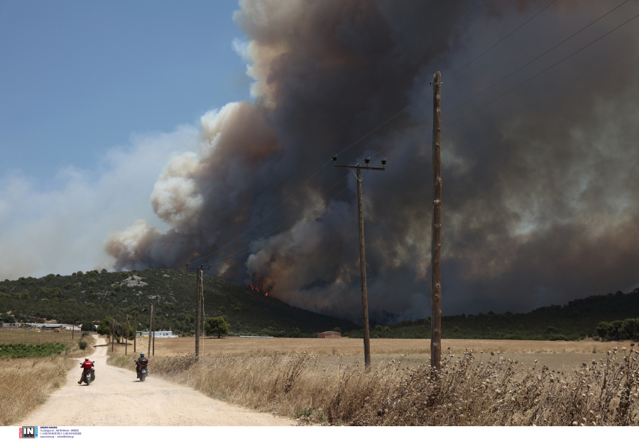 Νέο πύρινο «μέτωπο» στην Πέλλα: Στις φλόγες δασική έκταση, στη μάχη κατάσβεσης ένα αεροσκάφος