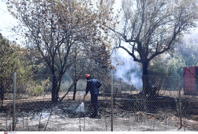 Ανεξέλεγκτη η φωτιά τώρα στη Σάμο, εκκενώνεται το χωριό Βουρλιώτες (βίντεο)