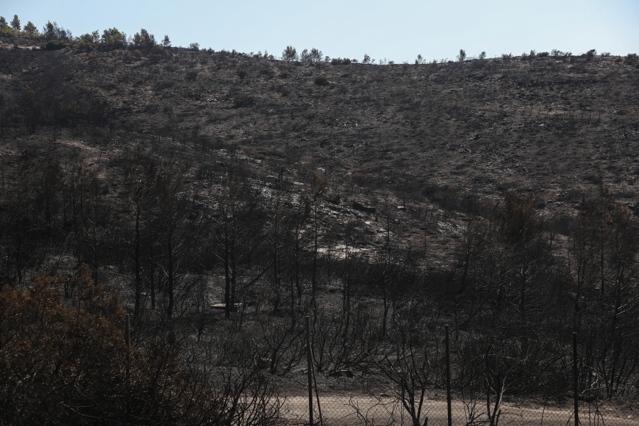 Συμφορά στην Πεντέλη - Περισσότερα από 25.000 στρέμματα γης έκαψε η φωτιά