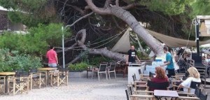 Δέντρο καταπλάκωσε καφετέρια στην Πάτρα