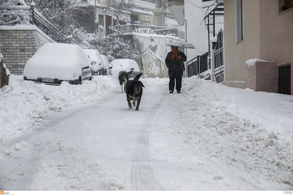 Φθιώτιδα: Χιονίζει σε Δομοκό και Καρπενήσι - Απαγορευτικό για το χιονοδρομικό Παρνασσού