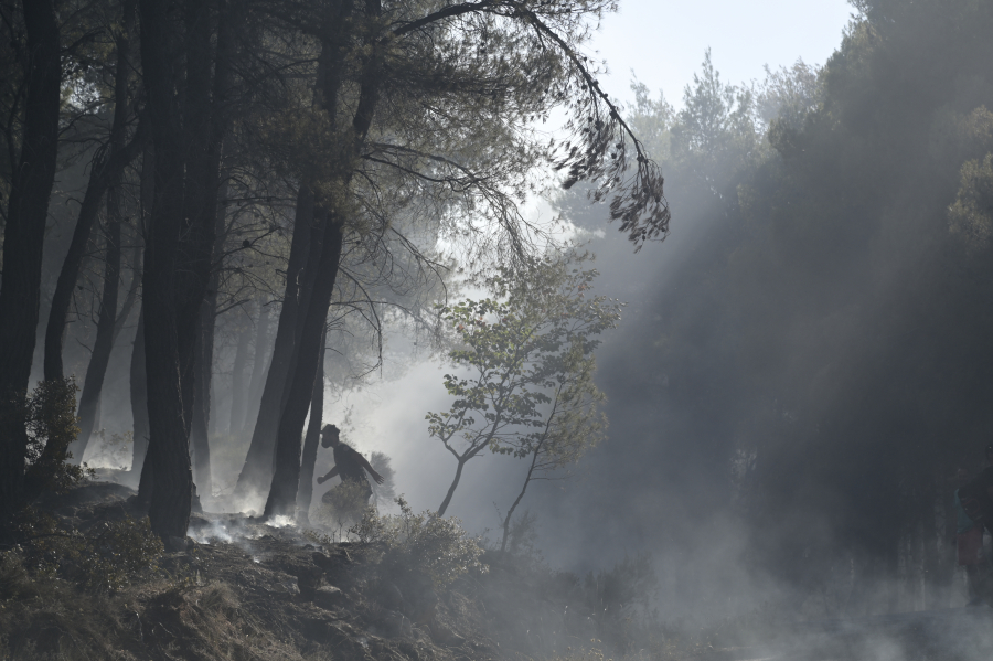 Παρανάλωμα του πυρός η Κρήτη, καίγεται απ' άκρη σ' άκρη δάσος στην Κέρη - Εφιάλτης και στο Ρέθυμνο (εικόνα, βίντεο)