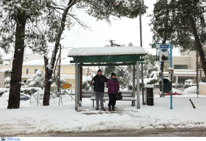 Δεύτερο κύμα της «Μπάρμπαρα»: Τα χιόνια «παγώνουν» το ωράριο σε Δημόσιο και καταστήματα, κλειστά σχολεία και την Τετάρτη