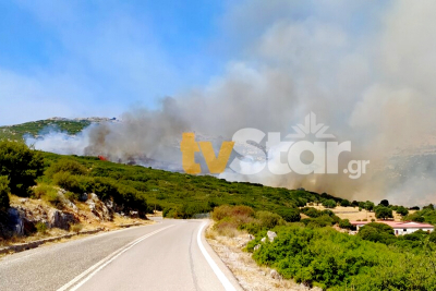Νέα φωτιά στην Εύβοια: Καίει στις Πετριές, σε αγροτοδασική έκταση - Οι πρώτες εικόνες