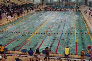 Δήμος Κορδελιού: Εγγραφές για το Καλοκαιρινό Πρόγραμμα Εκμάθησης Κολύμβησης