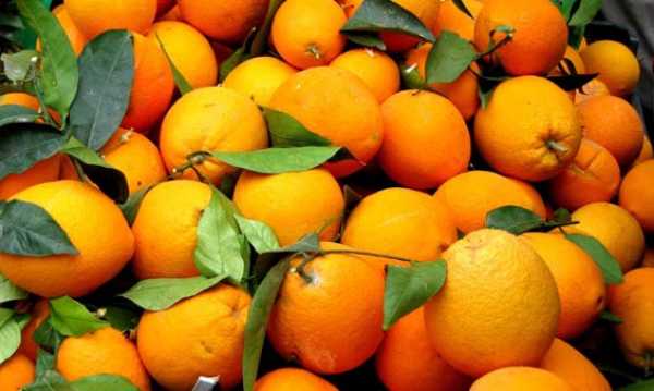 Δήμος Μαλεβιζίου: Τετάρτη και Πέμπτη η διανομή φρούτων