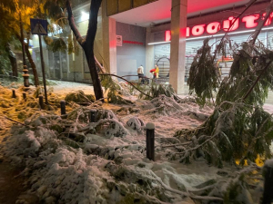 Κακοκαιρία «Ελπίς»: Πτώσεις δέντρων στο κέντρο της Αθήνας