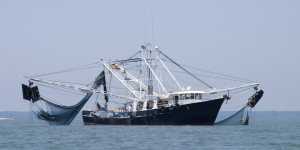 Ανανεώση άδειας αλιείας σκαφών 