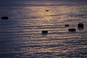 Τουλάχιστον 8 νεκροί σε ναυάγιο μεταναστών
