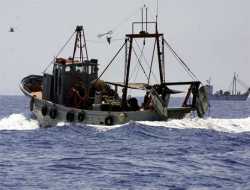 Περιφέρεια Αττικής:Διακοπή αλιείας Ξιφία