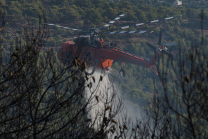 Πολύ υψηλός κίνδυνος πυρκαγιάς αύριο Παρασκευή- Πορτοκαλί συναγερμός σε 10 περιοχές της χώρας