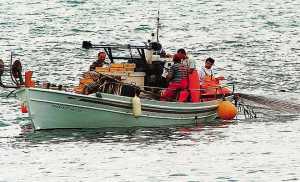 Απαλλάσσονται απο το τέλος επιτηδεύματος οι συμπλοιοκτήτες παράκτιας αλιείας και σπογγαλιείας 