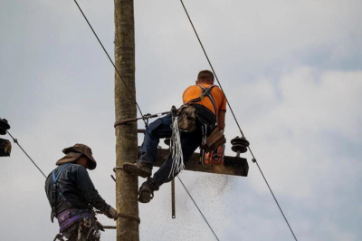 ΔΕΔΔΗΕ: Ενημέρωση για την πορεία αποκατάστασης ηλεκτροδότησης στις περιοχές της Εύβοιας και του Πηλίου