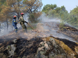 Φωτιές: Η κατάσταση στα μέτωπα Μεγάρων, Μυτιλήνης και Δαδιάς Έβρου, σύμφωνα με την Πυροσβεστική (εικόνες)