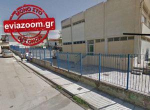 Χαλκίδα: Άνδρας άρχισε να πυροβολεί δύο σκύλους έξω από σχολείο επειδή τον κυνήγησαν με το ποδήλατο